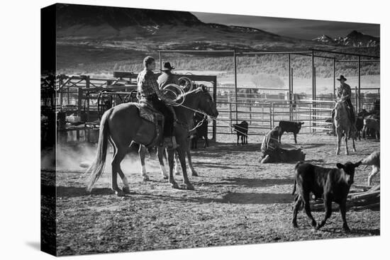 Cowboys brand Cattle near La Sal, Utah off Route 46 near Colorado-Utah border - near Manti-La Sa...-Panoramic Images-Premier Image Canvas