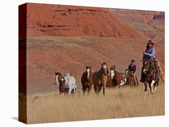 Cowboys Herding Horses in the Big Horn Mountains, Shell, Wyoming, USA-Joe Restuccia III-Premier Image Canvas