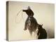 Cowboys Lassoing on the Range-DLILLC-Premier Image Canvas