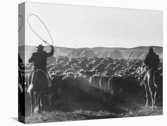 Cowboys on Long Cattle Drive from S. Dakota to Nebraska-Grey Villet-Premier Image Canvas