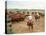 Cowboys on the King Ranch Move Santa Gertrudis Cattle from the Roundup Area Into the Working Pens-Ralph Crane-Premier Image Canvas