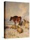 Cows and Sheep in Snowscape, 1864-Thomas Sidney Cooper-Premier Image Canvas