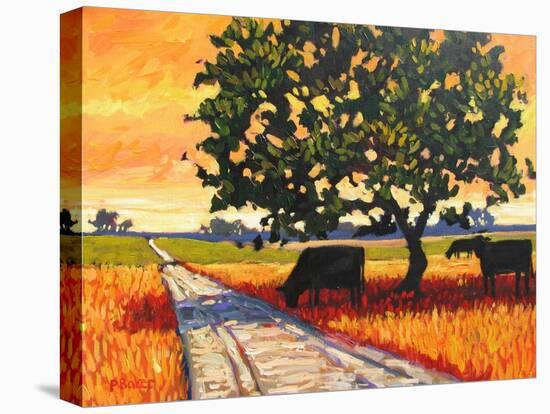 Cows Beside A Dirt Road-Patty Baker-Stretched Canvas