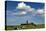 Cows Graze in Front of a Lighthouse in Bastorf, Germany-Bernd Wuestneck-Stretched Canvas