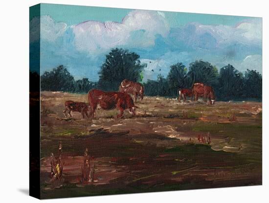 Cows Grazing, 2008, (Oil on Canvas)-Helen White-Premier Image Canvas