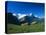 Cows in Alpine Meadow with Fiescherhorner and Eiger Mountains Beyond, Swiss Alps, Switzerland-Ruth Tomlinson-Premier Image Canvas