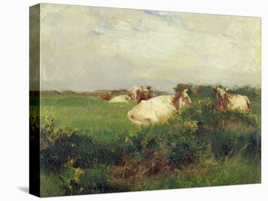 Cows in Field, 1895-Walter Frederick Osborne-Premier Image Canvas