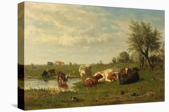 Cows in the Meadow-Gerard Bilders-Stretched Canvas