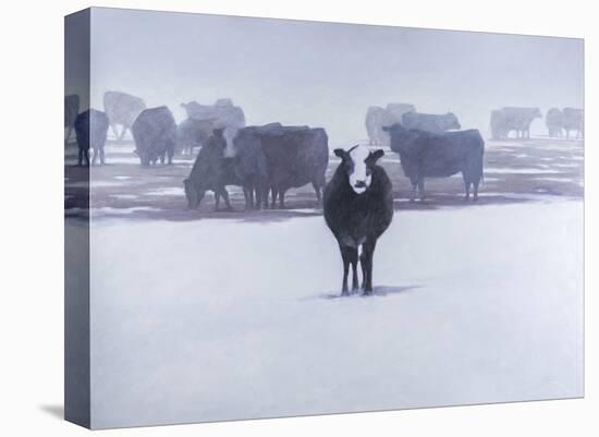 Cows in the Snow-Todd Telander-Stretched Canvas