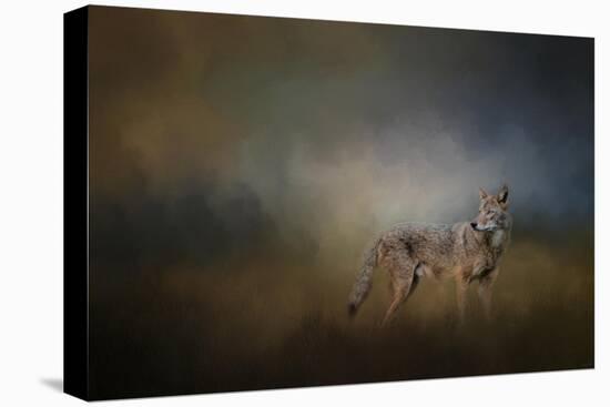 Coyote at Shiloh-Jai Johnson-Premier Image Canvas