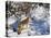 Coyote Walking Through Snow, Kananaskis Country, Alberta, Canada, North America-Jochen Schlenker-Premier Image Canvas