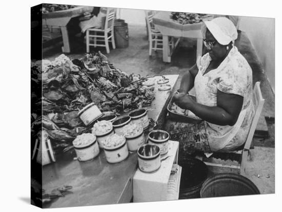 Crab Picker with Lumps and Freeze Dried Crab Meat in Cans-Ed Clark-Premier Image Canvas