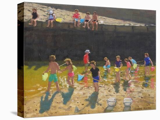 Crabbing in the Harbour,Bude, Cornwall ,2018-Andrew Macara-Premier Image Canvas