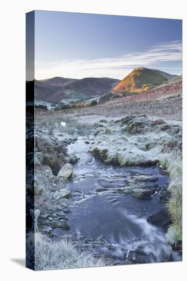 Crabtree Beck Running Down Loweswater Fell in the Lake District National Park-Julian Elliott-Premier Image Canvas