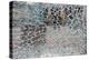 Cracked Glass-alexkar08-Premier Image Canvas