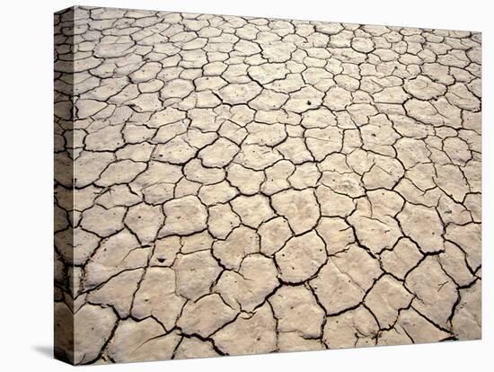 Cracked Mud, Fish River Canyon National Park, Namibia-Paul Souders-Premier Image Canvas