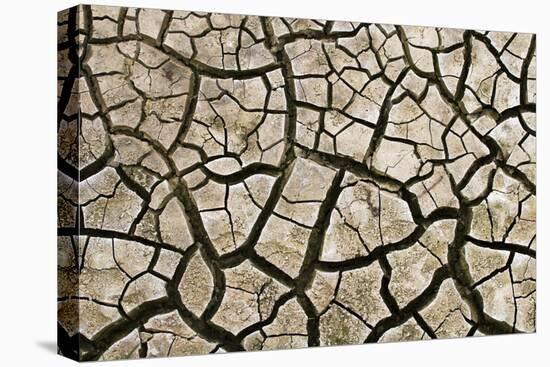 Cracked Mud in Dry River Bed During Summer. Surrey, UK-Alex Hyde-Premier Image Canvas