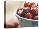 Cranberries in a bowl-Fancy-Premier Image Canvas
