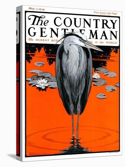 "Crane and Lilly Pads," Country Gentleman Cover, May 3, 1924-Paul Bransom-Premier Image Canvas