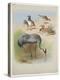 Crane, Stone Curlew and Bustards, C.1915 (W/C & Bodycolour over Pencil on Paper)-Archibald Thorburn-Premier Image Canvas
