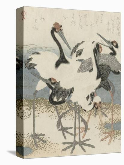 Cranes by the water, c.1816-Kubo Shunman-Premier Image Canvas