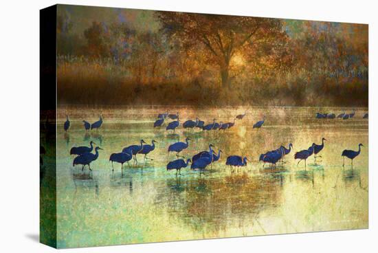 Cranes in Mist II-Chris Vest-Stretched Canvas