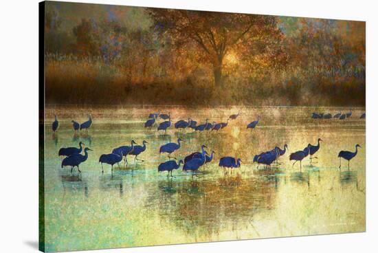 Cranes in Mist II-Chris Vest-Stretched Canvas