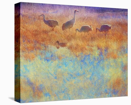 Cranes in Soft Mist-Chris Vest-Stretched Canvas