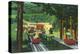 Cranmore Mountain Ski-Mobile in Summertime - North Conway, NH-Lantern Press-Stretched Canvas