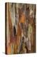 Crape Myrtle Bark I-Kathy Mahan-Premier Image Canvas