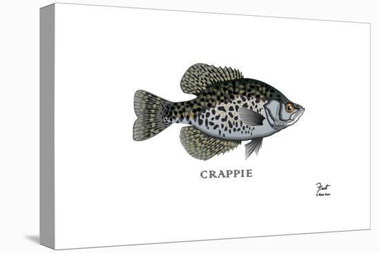 Crappie Fish-Mark Frost-Premier Image Canvas