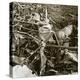 Crashed plane, Aisne, France, c1914-c1918-Unknown-Premier Image Canvas