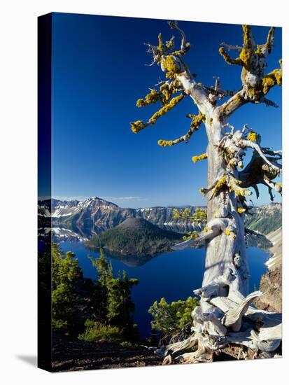 Crater Lake I-Ike Leahy-Premier Image Canvas