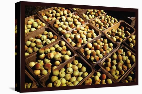 Crates of Peaches-Russell Lee-Stretched Canvas