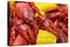 Crayfish Boil--=Viktor=--Premier Image Canvas
