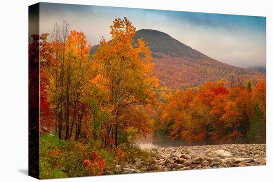 Crazy Autumn Color, White Mountains New Hampshire New England-Vincent James-Premier Image Canvas