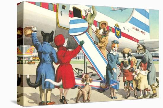 Crazy Cats Boarding Airplane-null-Stretched Canvas