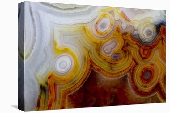 Crazy Lace Agate from Mexico-Darrell Gulin-Premier Image Canvas