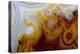 Crazy Lace Agate from Mexico-Darrell Gulin-Premier Image Canvas