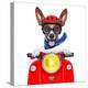 Crazy Silly Motorbike Dog-Javier Brosch-Premier Image Canvas