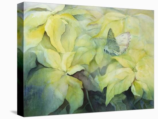 Cream Poinsettia with butterfly-Karen Armitage-Premier Image Canvas