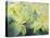 Cream Poinsettia with butterfly-Karen Armitage-Premier Image Canvas