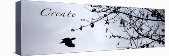 Create-Nicole Katano-Stretched Canvas