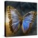 Creative Image of a Mounted Exotic Butterfly-Clive Nolan-Premier Image Canvas
