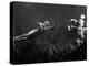 Creature from the Black Lagoon, Shooting Underwater Scene, 1954-null-Stretched Canvas
