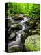 Creek Flows Through Forest, Shenandoah National Park, Virginia, USA-Jay O'brien-Premier Image Canvas