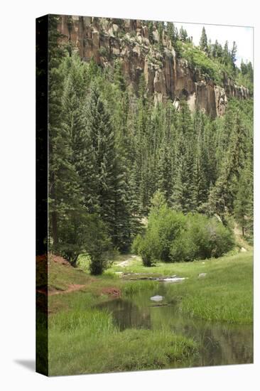 Creek in a Canyon High in the Jemez Mountains, New Mexico-null-Premier Image Canvas