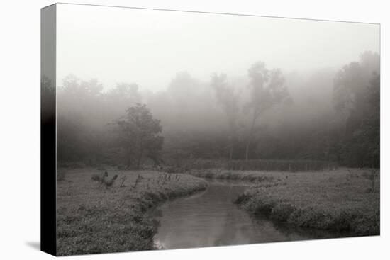 Creek in Fog I - BW-Tammy Putman-Premier Image Canvas