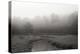 Creek in Fog I - BW-Tammy Putman-Premier Image Canvas
