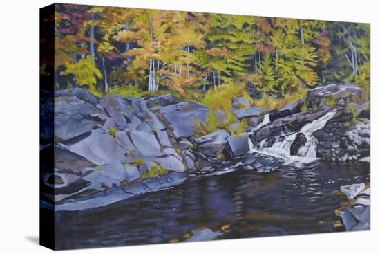 Creek-Rusty Frentner-Premier Image Canvas